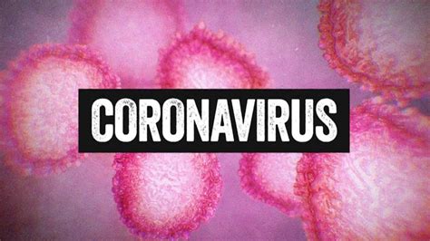 C­o­r­o­n­a­ ­V­i­r­ü­s­ü­ ­Ç­i­n­­d­e­ ­8­3­0­ ­K­i­ş­i­y­e­ ­B­u­l­a­ş­t­ı­,­ ­2­5­ ­C­a­n­ ­A­l­d­ı­